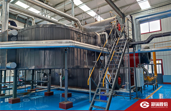 降耗“實(shí)招”！鄭鍋燃?xì)忮仩t助力化工企業(yè)能效提升