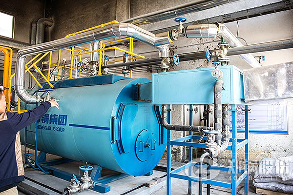 2t臥式冷凝燃氣鍋爐技術參數(shù)