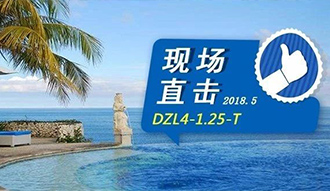 現(xiàn)場直擊丨看生物質(zhì)鍋爐在巴厘島如何強操作，回頭客非它不選