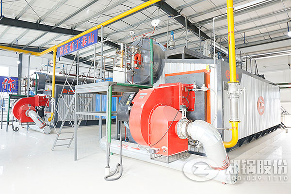 新鄉(xiāng)藥廠(chǎng)2*20噸SZS型燃?xì)忮仩t項(xiàng)目