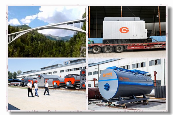 6噸低壓燃?xì)庹羝仩t