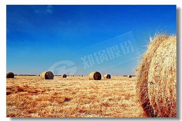 循環(huán)流化床鍋爐壓火后的揚(yáng)火原則是什么？