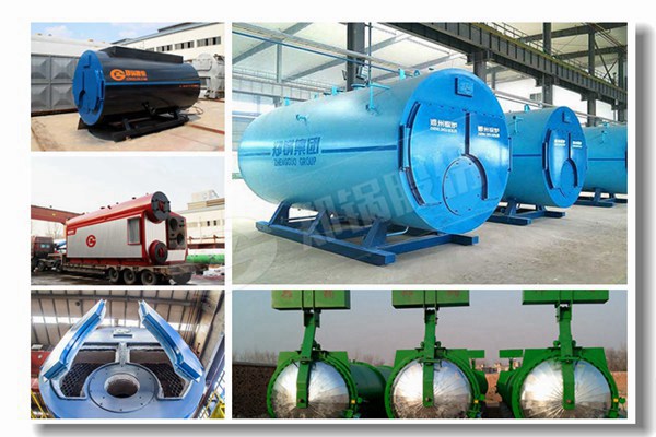 化妝品廠用25噸燃?xì)庹羝仩t