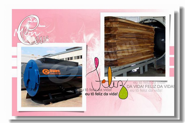 循環(huán)流化床中煤粒的破碎和磨損有什么區(qū)別？