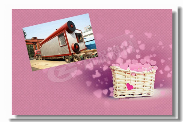 經(jīng)濟型每小時5010公斤的燃氣蒸汽鍋爐