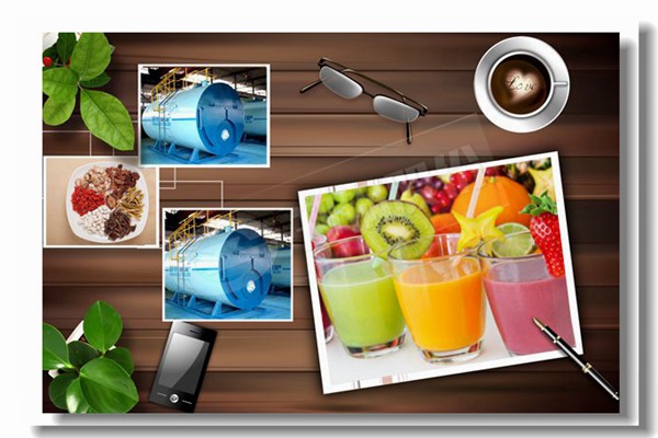 品牌wns型燃?xì)庹羝仩t工業(yè)