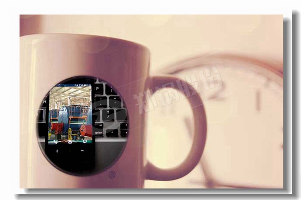 循環(huán)流化床鍋爐內(nèi)的燃燒區(qū)域有哪些?