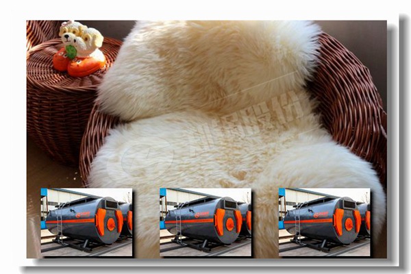 2014年節(jié)能環(huán)保的廉價(jià)燃?xì)馊∨仩t