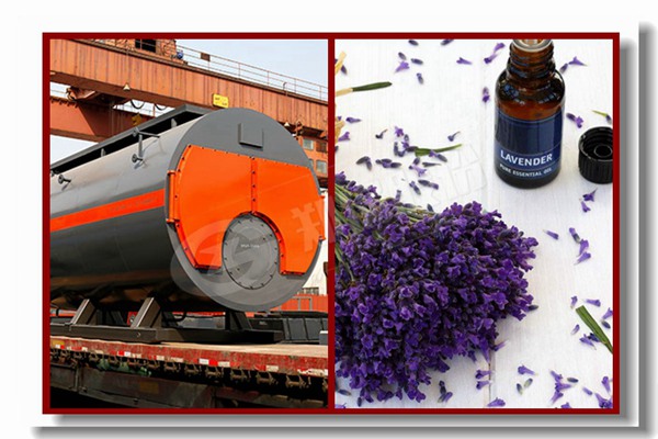 循環(huán)流化床鍋爐熄火時(shí)出現(xiàn)的現(xiàn)象是什么?